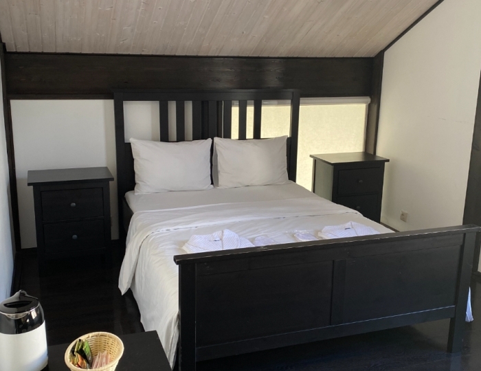 2-местное станд. без балк. - Отель «Ласточка» Пицунда