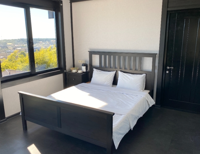 1-мест. (разм. в 2-мест.) станд. без балк. - Отель «Ласточка» Пицунда