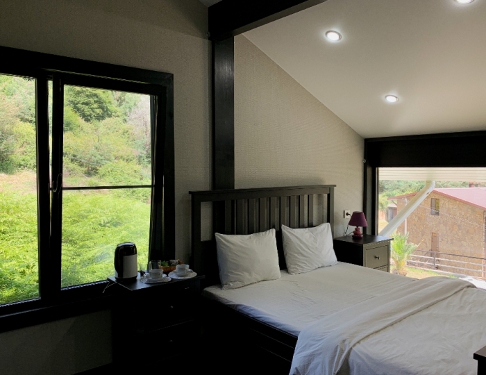 1-мест. (разм. в 2-мест.) станд. без балк. - Отель «Ласточка» Пицунда